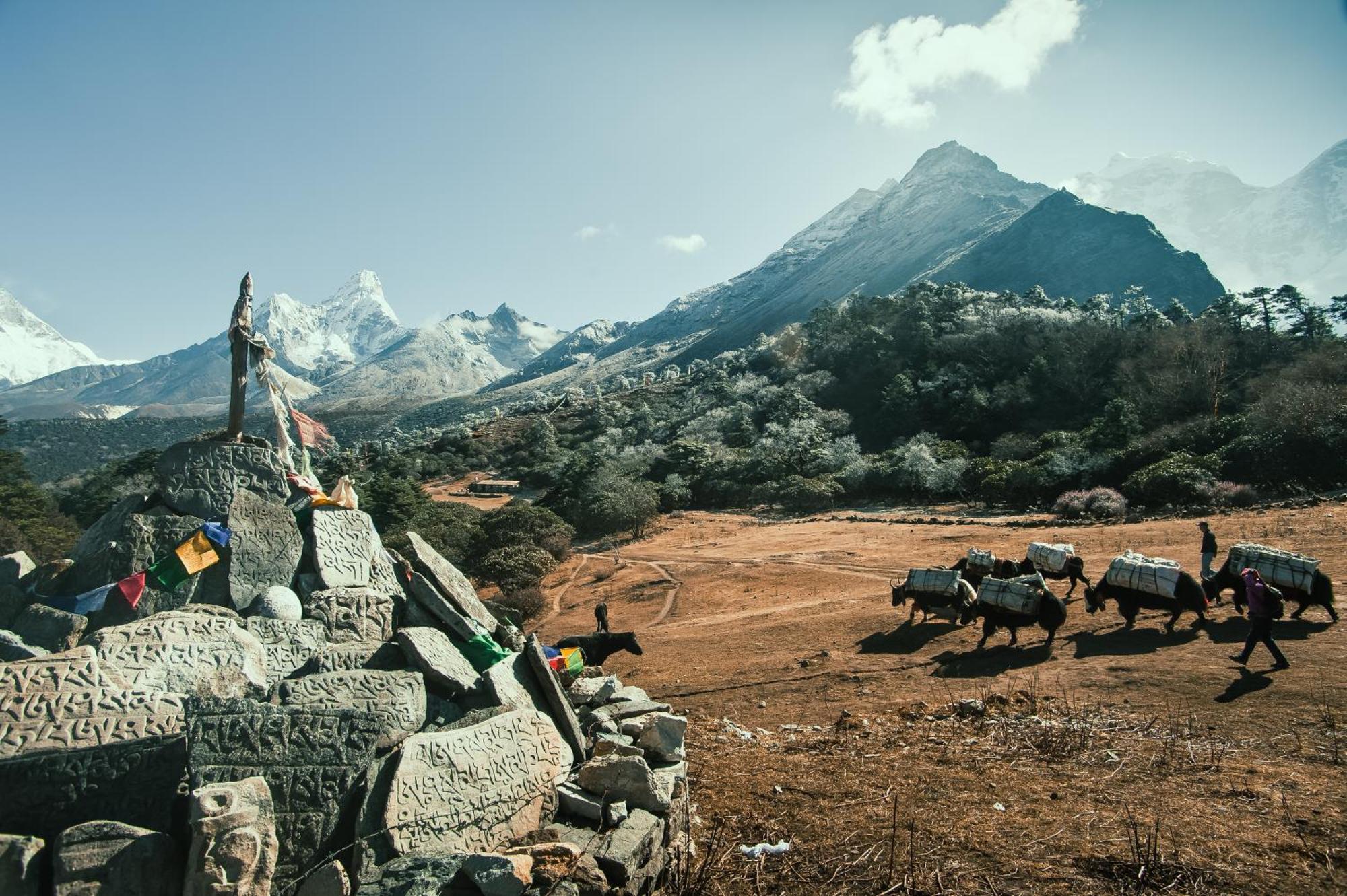 Mountain Lodges Of Nepal - Namche Eksteriør bilde